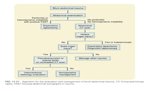 Comprehensive Overview of Abdominal Trauma: Classification, Diagnosis ...