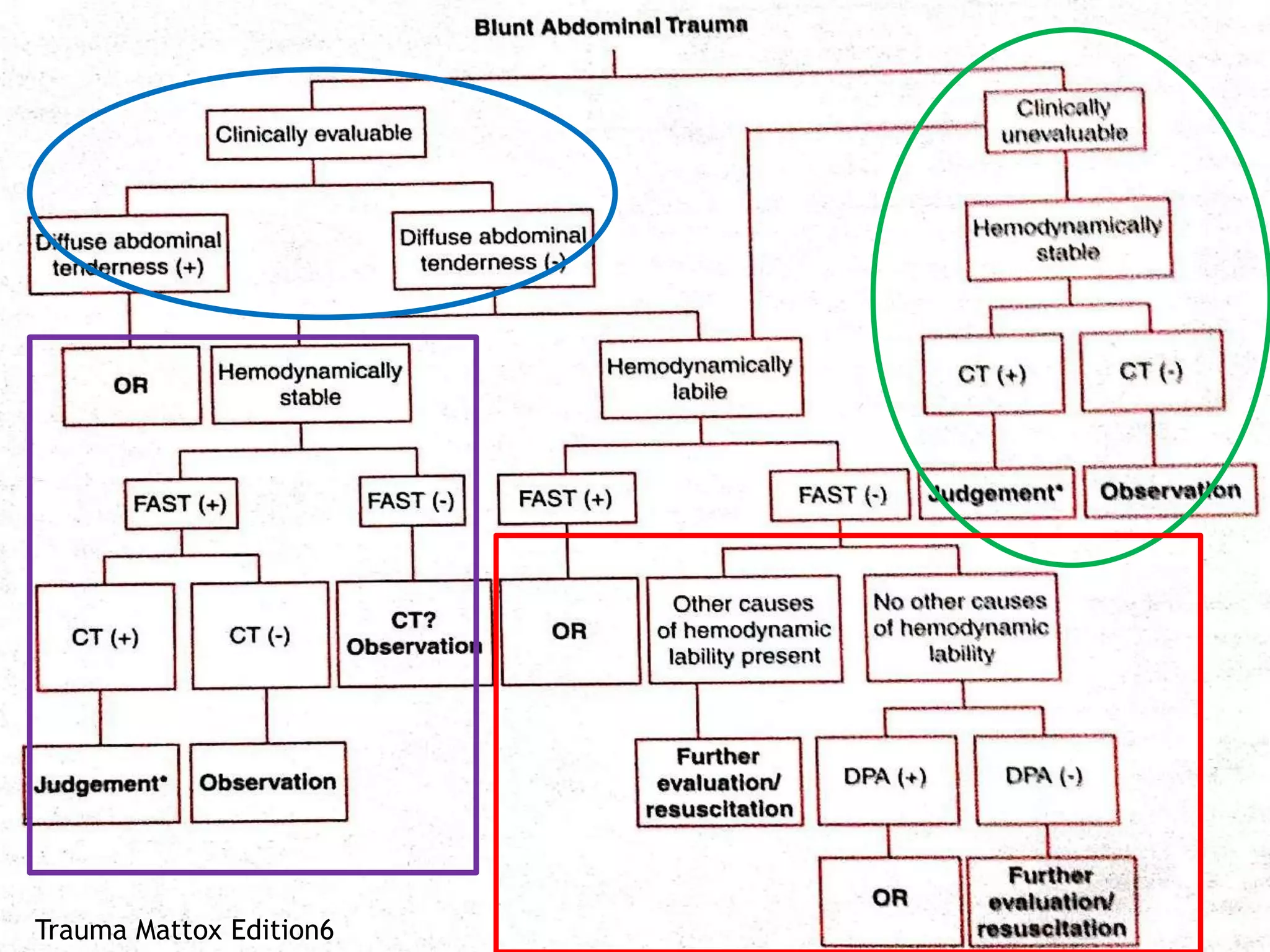 Abdominal Trauma ext.pdf