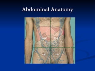 Abdominal Anatomy 