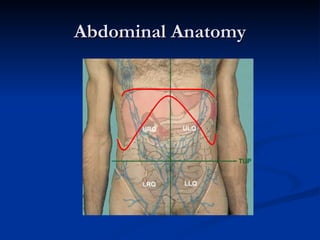 Abdominal Anatomy 