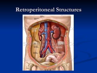 Retroperitoneal Structures 