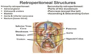 abdominal trauma powerpoint.pptx........ | PPTX