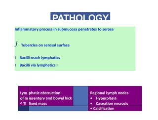 PATHOLOGY
Inflammatory process in submucosa penetrates to serosa
J Tubercles on serosal surface
i Bacilli reach lymphatics
I Bacilli via lymphatics I
Lym
of m
^ Tl
phatic obstruction
iesentery and bowel hick
fixed mass
Regional lymph nodes
• Hyperplasia
• Caseation necrosis
• Calcification
 