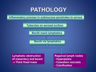 PATHOLOGY
Lymphatic obstruction
of mesentery and bowel
 Thick fixed mass
Regional lymph nodes
• Hyperplasia
• Caseation necrosis
• Calcification
Bacilli via lymphatics
Inflammatory process in submucosa penetrates to serosa
Tubercles on serosal surface
Bacilli reach lymphatics
 