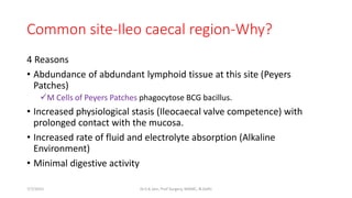 Common site-Ileo caecal region-Why?
4 Reasons
• Abdundance of abdundant lymphoid tissue at this site (Peyers
Patches)
M Cells of Peyers Patches phagocytose BCG bacillus.
• Increased physiological stasis (Ileocaecal valve competence) with
prolonged contact with the mucosa.
• Increased rate of fluid and electrolyte absorption (Alkaline
Environment)
• Minimal digestive activity
7/7/2015 Dr.S.K.Jain, Prof Surgery, MAMC, N.Delhi
 