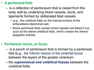 Peritoneal Bleed abdominal visceraWU(0).pptx