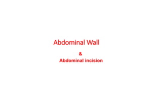Abdominal Wall
&
Abdominal incision
 