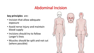 Abdominal Wall.pptx