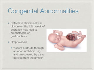 Abdominal Wall this a very good ppt please | PDF