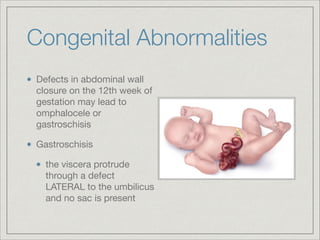 Abdominal Wall this a very good ppt please | PDF