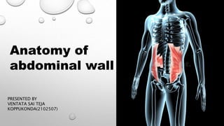 Anatomy of
abdominal wall
PRESENTED BY
VENTATA SAI TEJA
KOPPUKONDA(2102507)
 