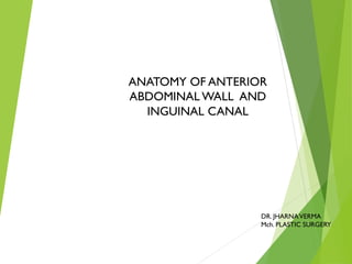 ANATOMY OF ANTERIOR
ABDOMINAL WALL AND
INGUINAL CANAL
DR. JHARNAVERMA
Mch. PLASTIC SURGERY
 