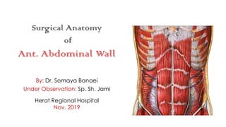 Surgical Anatomy
of
Ant. Abdominal Wall
By: Dr. Somaya Banaei
Under Observation: Sp. Sh. Jami
Herat Regional Hospital
Nov. 2019
 
