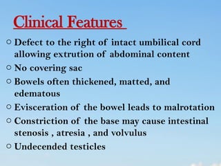 abdominal wall defect in child health nursing | PPTX