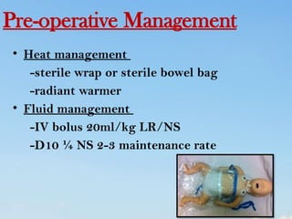 abdominal wall defect in child health nursing | PPTX