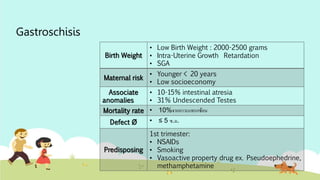Gastroschisis
Birth Weight
• Low Birth Weight : 2000-2500 grams
• Intra-Uterine Growth Retardation
• SGA
Maternal risk
• Younger < 20 years
• Low socioeconomy
Associate
anomalies
• 10-15% intestinal atresia
• 31% Undescended Testes
Mortality rate • 10%จากภาวะแทรกซ้อน
Defect Ø • ≤ 5 ซ.ม.
Predisposing
1st trimester:
• NSAIDs
• Smoking
• Vasoactive property drug ex. Pseudoephedrine,
methamphetamine
 