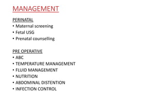 Abdominal wall defects (dr.tanvir) | PPTX