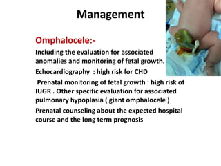 Management
Omphalocele:-
Including the evaluation for associated
anomalies and monitoring of fetal growth.
Echocardiography : high risk for CHD
Prenatal monitoring of fetal growth : high risk of
IUGR . Other specific evaluation for associated
pulmonary hypoplasia ( giant omphalocele )
Prenatal counseling about the expected hospital
course and the long term prognosis
 