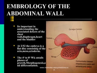 EMBROLOGY OF THE
ABDOMINAL WALL
 Its important in
understanding the
associated defects of the
chest
wall,diaphragm,heart
and the bladder
 At 2/52 the embryo is a
flat disc consisting of the
ecto,meso,ectoderm.
 The 4th
to 8th
Wk entails
phases of
growth,Morphogenesis,a
nd differentiation.
www.mednotez.eazzymedicine.co
m
 
