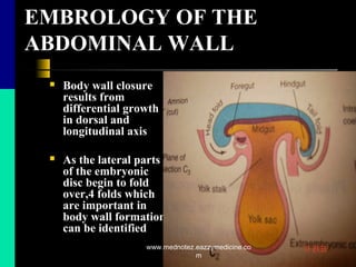 EMBROLOGY OF THE
ABDOMINAL WALL
 Body wall closure
results from
differential growth
in dorsal and
longitudinal axis
 As the lateral parts
of the embryonic
disc begin to fold
over,4 folds which
are important in
body wall formation
can be identified
www.mednotez.eazzymedicine.co
m
 