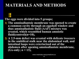 MATERIALS AND METHODS
The eggs were divided into 5 groups;
1) The amnioallantoic membrane was opened to create
a common cavity through an eggshell window and
thus amnioallantoic fluid (AAF) mixture was
created, which resembled human amniotic
fluid(control)(n=10),
2) A 2.5-mm defect was created with delicate tweezers
in the umbilical stalk near the abdominal wall, and
intestinal loops were exteriorized out of the
abdomen after opening amnioallantoic membrane,
(Gx-only; n = 13),
www.mednotez.eazzymedicine.co
m
 
