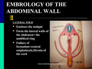 EMBROLOGY OF THE
ABDOMINAL WALL
LATERAL FOLD
 Encloses the midgut
 Form the lateral walls of
the abdomen+ the
umbilical ring
 Failure of
formation=central
omphalocele,Hernia of
the cord
www.mednotez.eazzymedicine.co
m
 