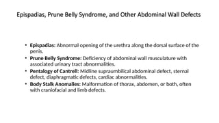 Epispadias, Prune Belly Syndrome, and Other Abdominal Wall Defects
• Epispadias: Abnormal opening of the urethra along the dorsal surface of the
penis.
• Prune Belly Syndrome: Deficiency of abdominal wall musculature with
associated urinary tract abnormalities.
• Pentalogy of Cantrell: Midline supraumbilical abdominal defect, sternal
defect, diaphragmatic defects, cardiac abnormalities.
• Body Stalk Anomalies: Malformation of thorax, abdomen, or both, often
with craniofacial and limb defects.
 