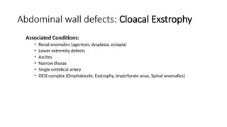 Abdominal wall defects: Cloacal Exstrophy
Associated Conditions:
• Renal anomalies (agenesis, dysplasia, ectopia)
• Lower extremity defects
• Ascites
• Narrow thorax
• Single umbilical artery
• OEIS complex (Omphalocele, Exstrophy, Imperforate anus, Spinal anomalies)
 