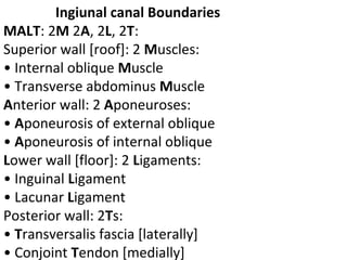 Ingiunal canal Boundaries
MALT: 2M 2A, 2L, 2T:
Superior wall [roof]: 2 Muscles:
• Internal oblique Muscle
• Transverse abdominus Muscle
Anterior wall: 2 Aponeuroses:
• Aponeurosis of external oblique
• Aponeurosis of internal oblique
Lower wall [floor]: 2 Ligaments:
• Inguinal Ligament
• Lacunar Ligament
Posterior wall: 2Ts:
• Transversalis fascia [laterally]
• Conjoint Tendon [medially]
 