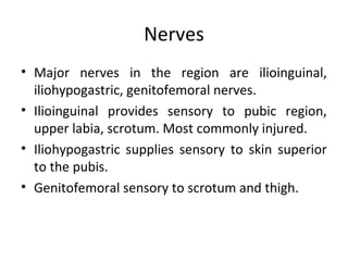 Nerves
• Major nerves in the region are ilioinguinal,
iliohypogastric, genitofemoral nerves.
• Ilioinguinal provides sensory to pubic region,
upper labia, scrotum. Most commonly injured.
• Iliohypogastric supplies sensory to skin superior
to the pubis.
• Genitofemoral sensory to scrotum and thigh.
 