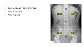 2) QUADRANTS AND REGIONS
Four quadrants
Nine regions
 