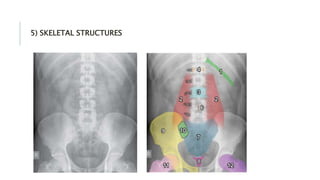 5) SKELETAL STRUCTURES
 