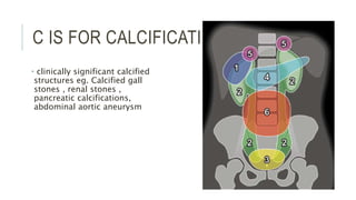 C IS FOR CALCIFICATION
• clinically significant calcified
structures eg. Calcified gall
stones , renal stones ,
pancreatic calcifications,
abdominal aortic aneurysm
 