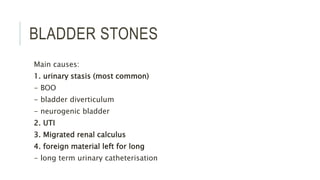 BLADDER STONES
Main causes:
1. urinary stasis (most common)
- BOO
- bladder diverticulum
- neurogenic bladder
2. UTI
3. Migrated renal calculus
4. foreign material left for long
- long term urinary catheterisation
 