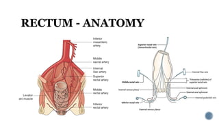 Proctotomy ABDOMINO-PERINEAL RESECTION-Dr Surgeeth.pptx