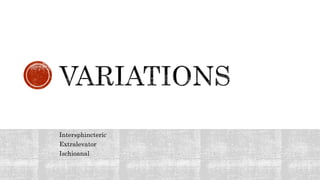 Intersphincteric
Extralevator
Ischioanal
 