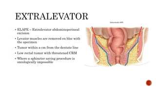  ELAPE – Extralevator abdominoperineal
excision
 Levator muscles are removed en bloc with
the specimen
 Tumor within a cm from the dentate line
 Low rectal tumor with threatened CRM
 Where a sphincter saving procedure is
oncologically impossible
 