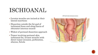  Levator muscles are incised at their
lateral insertions
 Dissection outside the fat pad of
ischioanal fossa and along fascia of
obturator internus muscle
 Widest of perineal dissection approach
 Tumor involving perianal skin,
ischioanal fat, levator muscles with
direct tumor invasion, perforation,
abscess, fistula
 