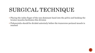  Placing the index finger of the non dominant hand into the pelvis and hooking the
levator muscles facilitates this division
 Puborectalis should be divided anteriorly before the transverse perineal muscle is
reached
 