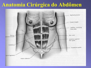 Anatomia Cirúrgica do Abdômen
 