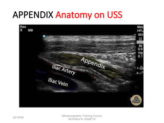Abdo USS, General Indications Scan prininples USS LECTURE Nchanji Nkeh ...