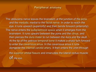 Peripheral anatomyPeripheral anatomy
The abducens nerve leaves the brainstem at the junction of theThe abducens nerve leaves the brainstem at the junction of the ponspons
and theand the medullamedulla, medial to the, medial to the facial nervefacial nerve. In order to reach the. In order to reach the
eye, it runs upward (superiorly) and then bends forward (anteriorly).eye, it runs upward (superiorly) and then bends forward (anteriorly).
The nerve enters theThe nerve enters the subarachnoidsubarachnoid spacespace when it emerges from thewhen it emerges from the
brainstem. It runs upward between the pons and thebrainstem. It runs upward between the pons and the clivusclivus, and, and
then pierces thethen pierces the duradura matermater to run between the dura and the skull.to run between the dura and the skull.
At the tip of the petrousAt the tip of the petrous temporal bonetemporal bone it makes a sharp turn forwardit makes a sharp turn forward
to enter theto enter the cavernous sinuscavernous sinus. In the cavernous sinus it runs. In the cavernous sinus it runs
alongside thealongside the internal carotid arteryinternal carotid artery. It then enters the orbit through. It then enters the orbit through
thethe superior orbital fissuresuperior orbital fissure and innervates the lateral rectus muscleand innervates the lateral rectus muscle
ofof the eye.the eye.
 