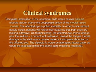 Clinical syndromesClinical syndromes
Complete interruption of the peripheral sixth nerve causesComplete interruption of the peripheral sixth nerve causes diplopiadiplopia
(double vision), due to the unopposed action of the(double vision), due to the unopposed action of the medialmedial rectusrectus
musclemuscle. The affected eye is pulled medially. In order to see without. The affected eye is pulled medially. In order to see without
double vision, patients will rotate their heads so that both eyes aredouble vision, patients will rotate their heads so that both eyes are
looking sideways. On formal testing, the affected eye cannot abductlooking sideways. On formal testing, the affected eye cannot abduct
past the midline – it cannot look sideways, toward the temple. Partialpast the midline – it cannot look sideways, toward the temple. Partial
damage to the sixth nerve causes weak or incomplete abduction ofdamage to the sixth nerve causes weak or incomplete abduction of
the affected eye. The diplopia is worse on attempted lateral gaze, asthe affected eye. The diplopia is worse on attempted lateral gaze, as
would be expected (since the lateral gaze muscle is impaired).would be expected (since the lateral gaze muscle is impaired).
 
