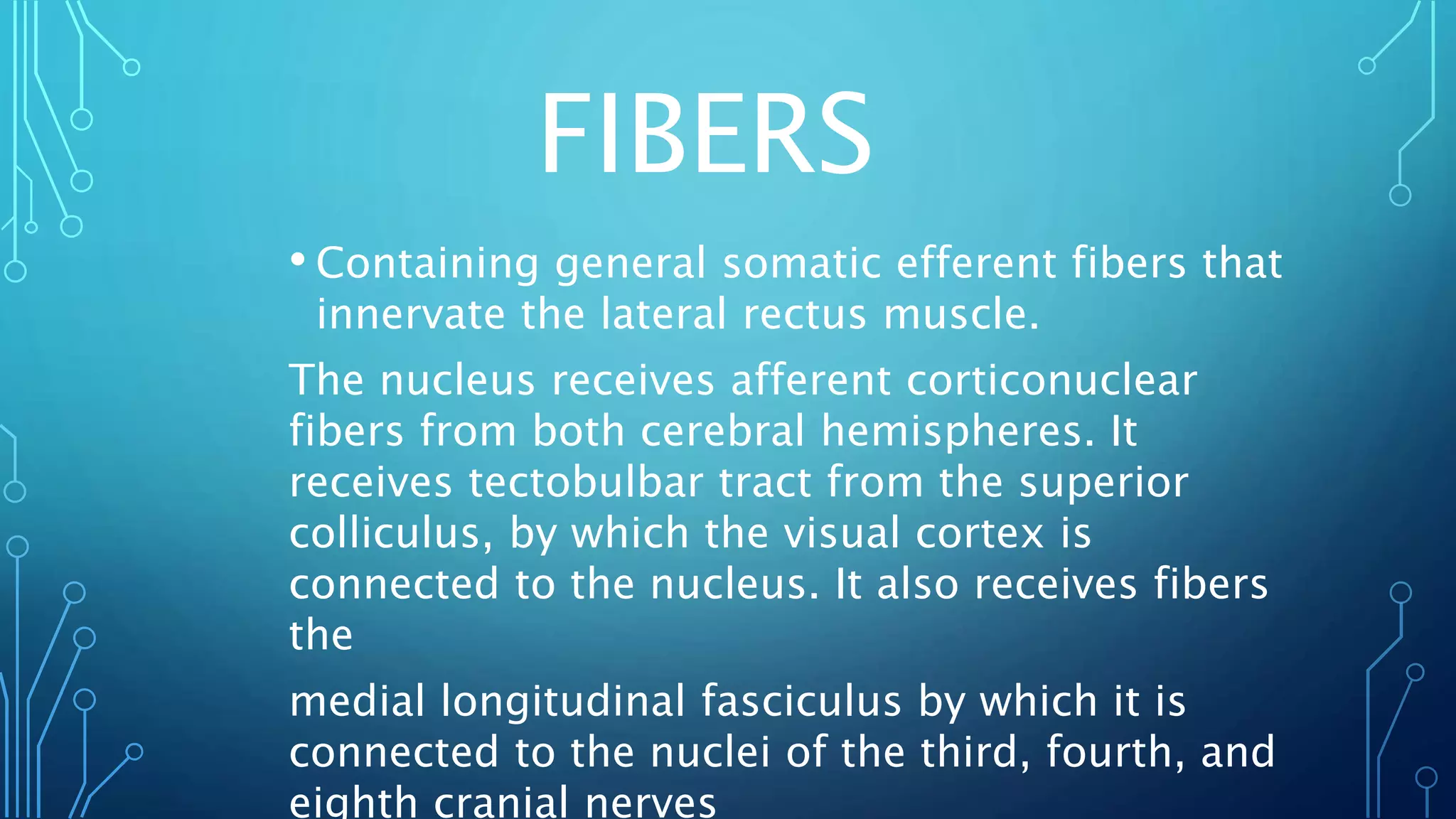 abducens nerve.pptx