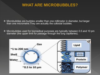 WHAT ARE MICROBUBBLES?
 Microbubbles are bubbles smaller than one millimeter in diameter, but larger
than one micrometre.They are actually the colloidal bubbles.
 Microbubbles used for biomedical purposes are typically between 0.5 and 10 pm
diameter (the upper limit for passage through the lung capillaries).
 