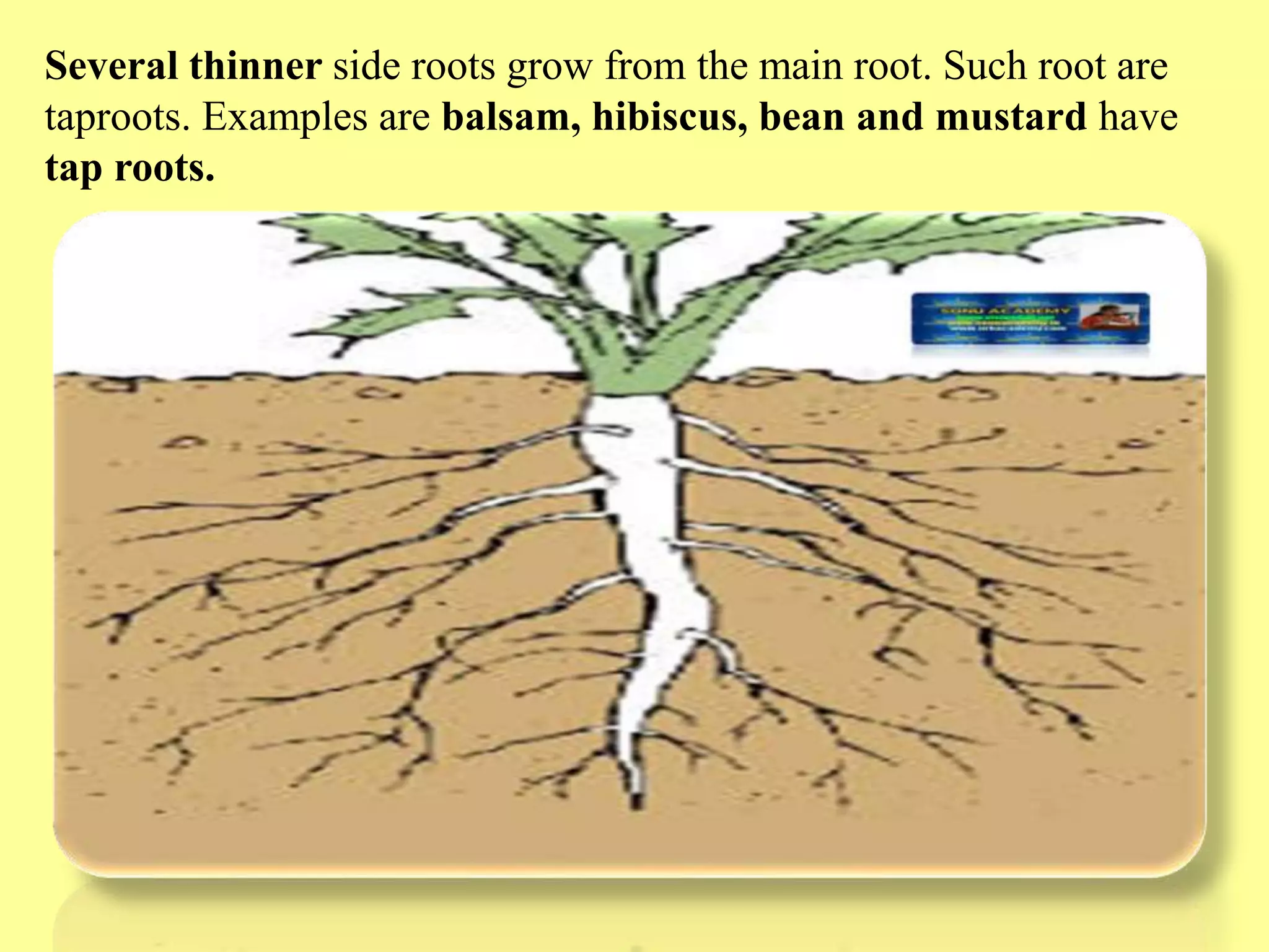 Slide 10
