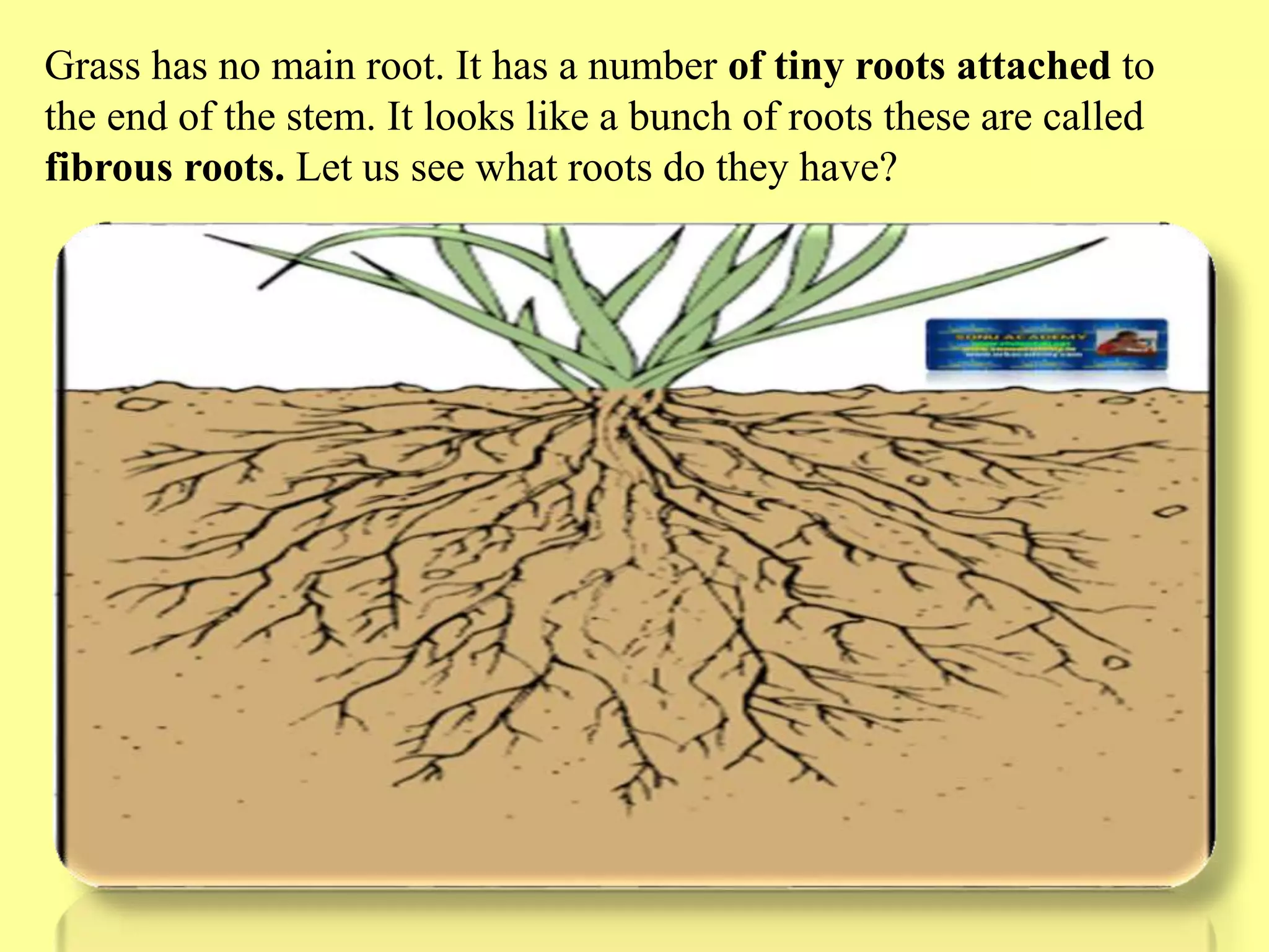 Slide 11