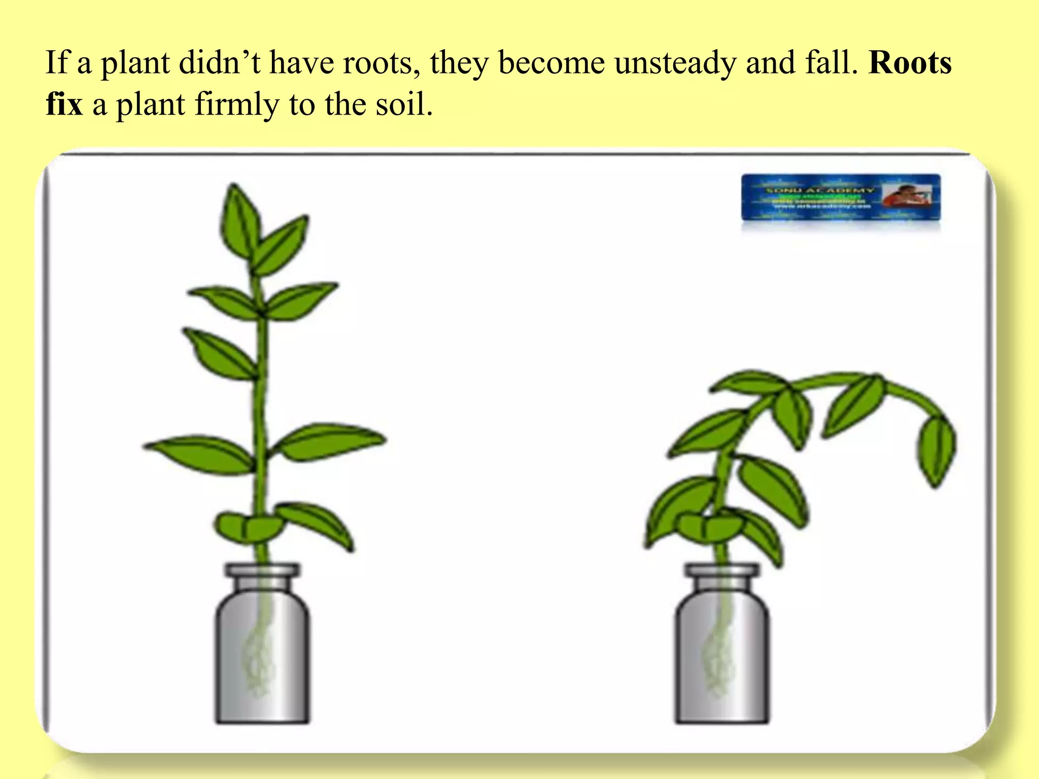 Slide 12