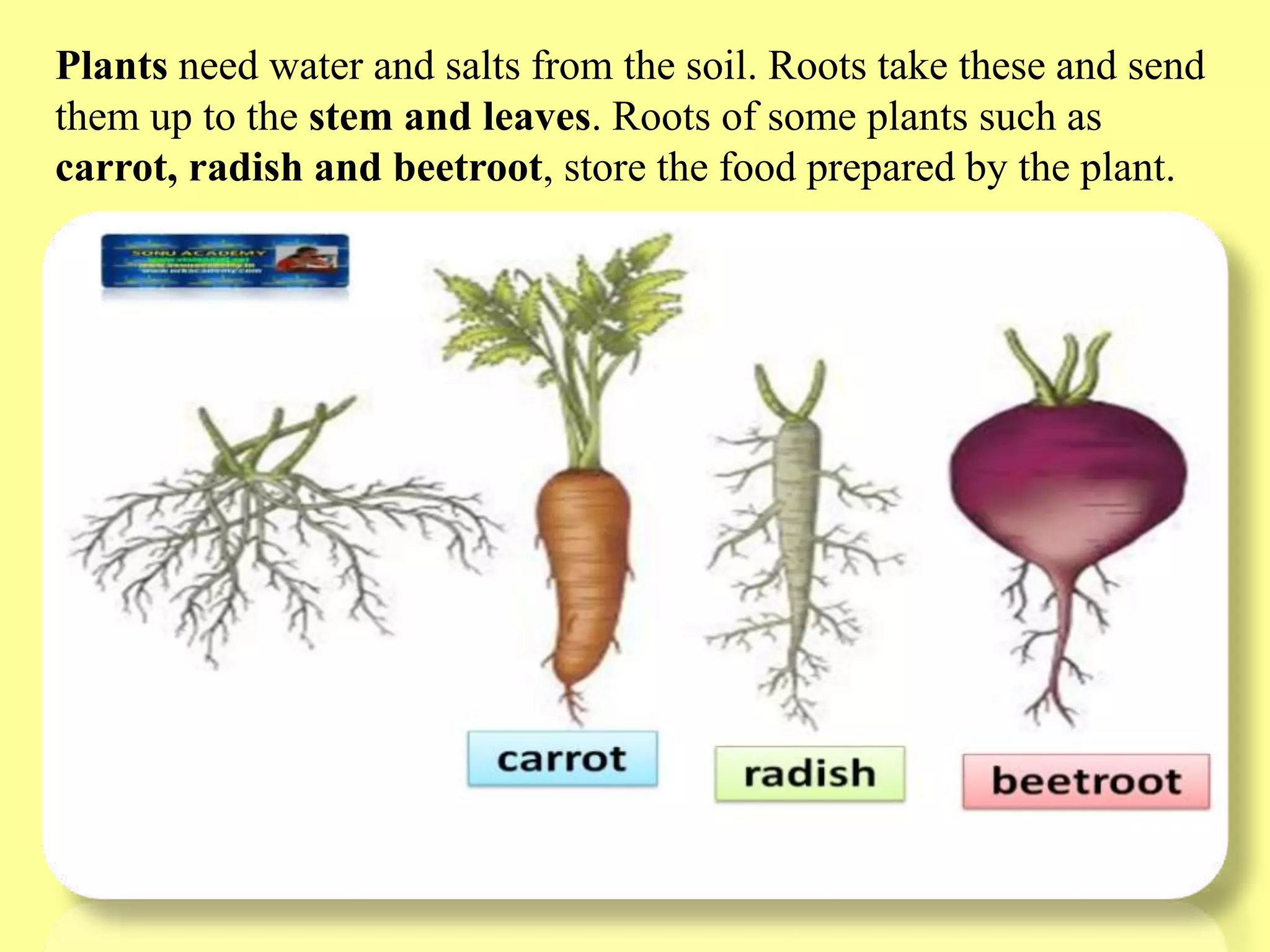 Slide 13