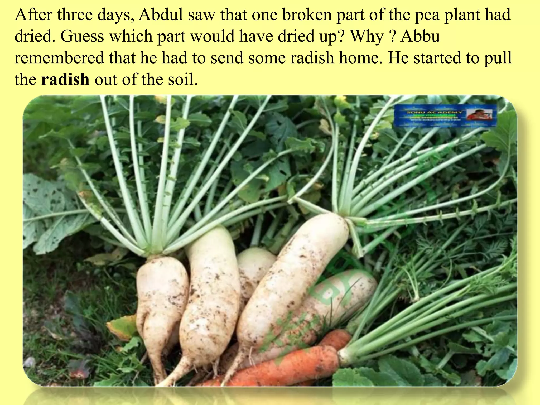 Slide 14
